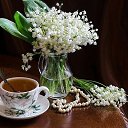 ���� ��������, �����-���������, 66 ��� - ��������� 1 ����� 2018 � ������ ������ ��������