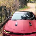 ���� ����, ��������, 39 ��� - ��������� 17 ������� 2017 � ������ ���� ����������