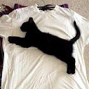 ���� ������, �����-���������, 55 ��� - ��������� 7 ������� 2018 � ������ ������ ��������