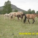 ���� �����, ������������ - ��������� 2 ���� 2018 � ������ ���� ����������