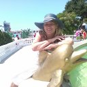 ���� �����, �����, 58 ��� - ��������� 3 ���� 2018 � ������ ���� ����������