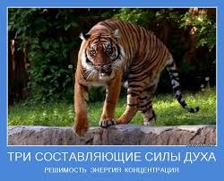 СИЛА ДУХА И ТЕЛА.Вся жизнь – это поле жестокой борьбыЗа место под солнцем, за честь и свободу,Боятся ...