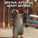 ���� ������, �����������, 47 ��� - ��������� 24 ������� 2017 � ������ ���� ����������