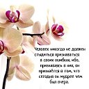 ���� ������, ������ - ��������� 17 ������� 2017 � ������ ������ ��������