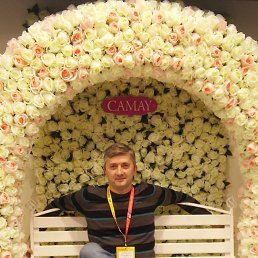 ������, ������, 49 ���