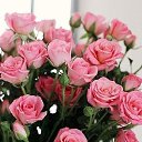 ���� ���, �������� - ��������� 17 ����� 2018 � ������ ���� ����������