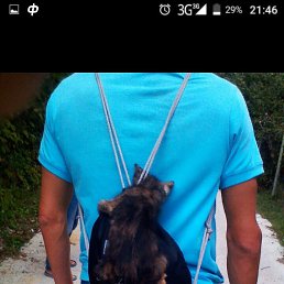 ���� ������, ����, 40 ��� - ��������� 30 ������ 2017