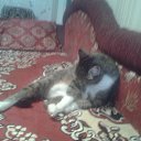  Saturn,  -  10  2018   