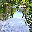  ,  -  15  2018     ...