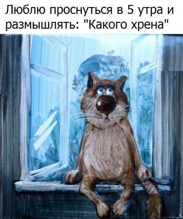   :D - 24  2018  03:41