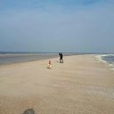 ���� �, ������, 85 ��� - ��������� 9 ������ 2018 � ������ ���� ����������