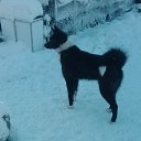 ���� �������, ����������� - ��������� 20 ������� 2017 � ������ ������� ��.�