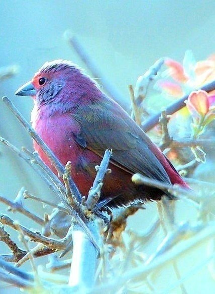 ���� � ����� ���� �������� ���� ���� �������� �����, �� ��� ������ ����� ������ �����.�.� ��������� ... - 2