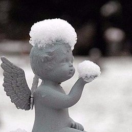 ������, ����������, 47 ���