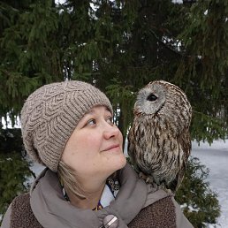 ������, ��������, 40 ���