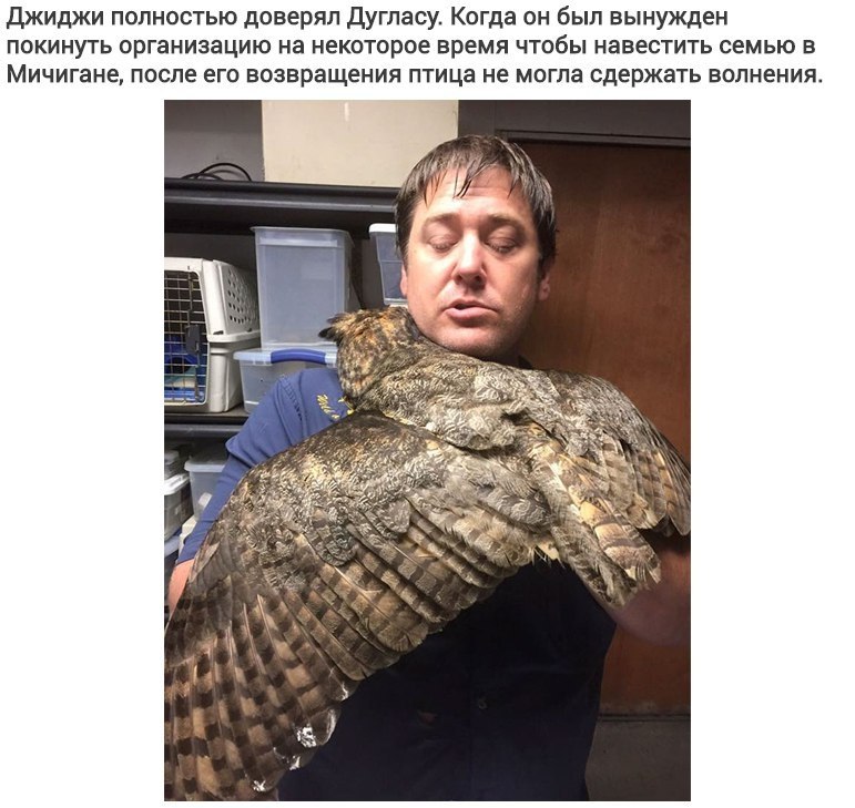    ,   ,     - 4