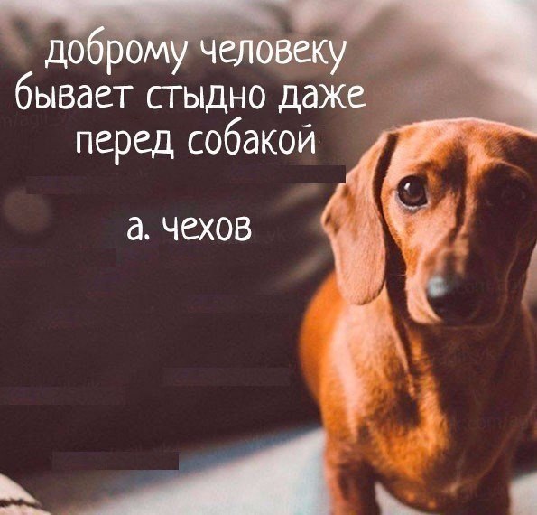    - 26  2018  02:46