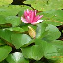 ���� Raisa, ��������� - ��������� 23 ������ 2017 � ������ ���� ����������