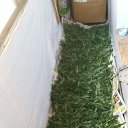 ���� �������, ��������, 58 ��� - ��������� 24 ���� 2018 � ������ ������ ��������