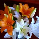 ���� ������, ������ - ��������� 12 ���� 2018 � ������ ������ ��������