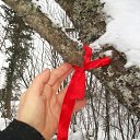 ���� �������� ���� ����������, ��������, 72 ���� - ��������� 18 ����� 2018 � ������ ������ ��������