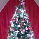 ���� ������, ����������� - ��������� 29 ������� 2017 � ������ ���� ����������