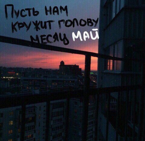    - 12  2018  02:41