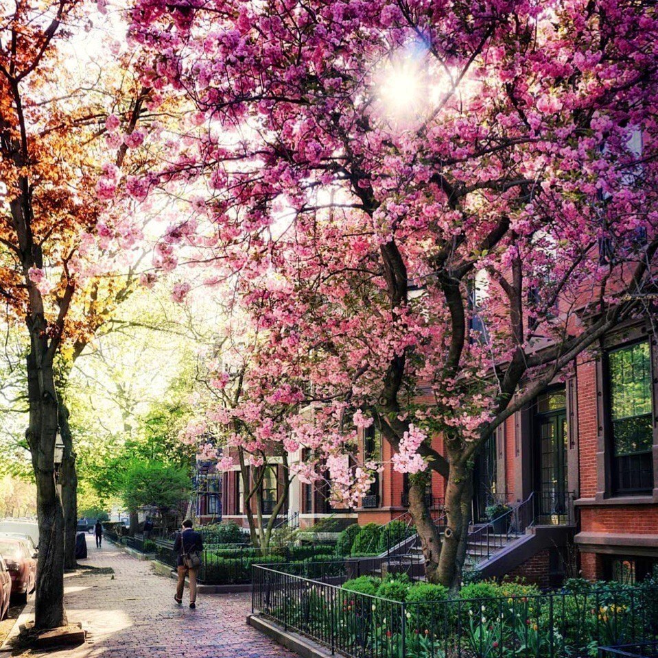 Boston
