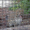 ���� ������, ������ - ��������� 30 ������� 2017 � ������ ����������� ������� - ��������Ż