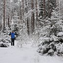 ���� ������, ������, 51 ��� - ��������� 21 ������ 2017 � ������ ���� ����������