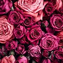 ���� �����, �����-���������, 55 ��� - ��������� 22 ��� 2018 � ������ ���� ����������