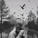 ���� ����, ������, 50 ��� - ��������� 29 ���� 2018 � ������ ���� ����������