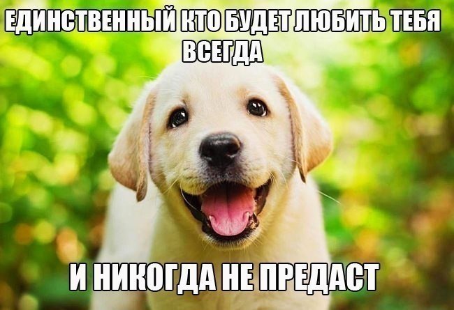   ...!!! # #u # - 5