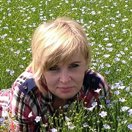 ��������, �������������, 51 ���