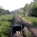 ���� �������, �������, 53 ���� - ��������� 6 ���� 2018 � ������ ���� ����������