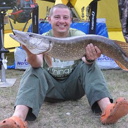 �����, ����