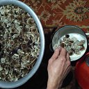 ���� ���������, ������-��-����, 60 ��� - ��������� 5 ������ 2018 � ������ ���� ����������