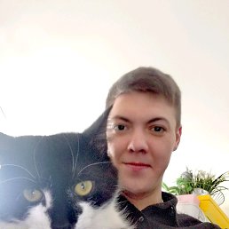 Nikita, �����-���������, 33 ����