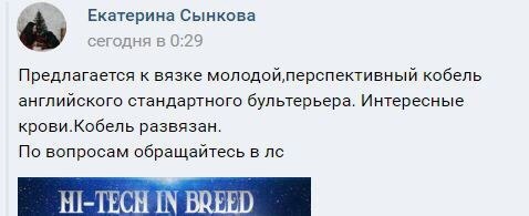 Внимание, к вязке предлагают прямого потомка печально известного Супера, передающего агрессию. ... - 2