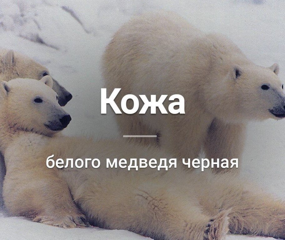   :    - 27  2018  04:02