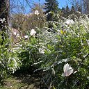 ���� Oleg, ������� ����, 78 ��� - ��������� 20 ������ 2018 � ������ ������ ��� ����!�