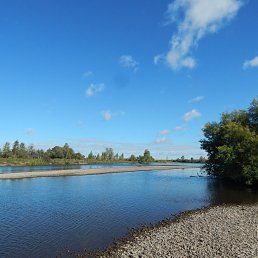 ����, ����������, 43 ����