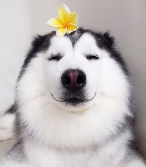        ,         ... - 7