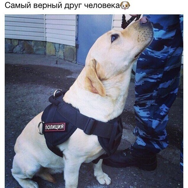 Мужской клуб - 20 февраля 2018 в 12:56