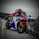���� �����, �����������, 36 ��� - ��������� 14 ������ 2018 � ������ ���� ����������