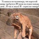 ���� �������, �������� - ��������� 24 ��� 2018 � ������ ������� ��������