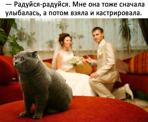   - 7  2017  15:09