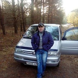 ��������, �������, 46 ���