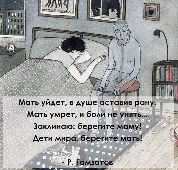   -  ,  -  - 29  2017  08:01