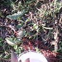 ���� �������, ������, 68 ��� - ��������� 2 ����� 2018 � ������ ���� ����������